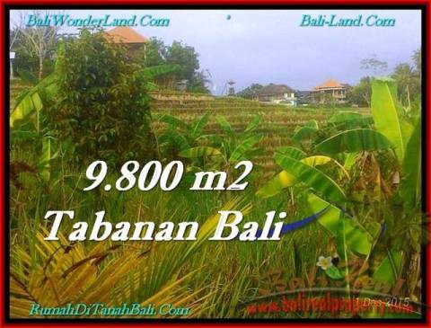 JUAL TANAH di TABANAN BALI 980 m2 View Sawah dan Laut