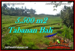 DIJUAL MURAH TANAH di TABANAN BALI 5,500 m2 di Tabanan Penebel