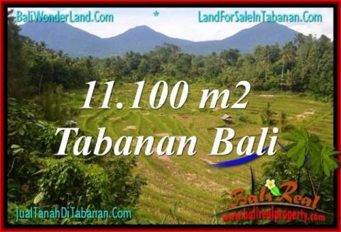 TANAH di TABANAN BALI DIJUAL MURAH 11,100 m2 View gunung dan sawah