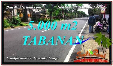 JUAL TANAH di TABANAN Untuk INVESTASI TJTB332