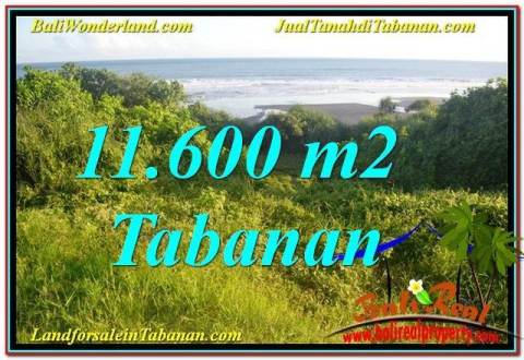 TANAH di TABANAN BALI DIJUAL 11,600 m2 di Tabanan Selemadeg
