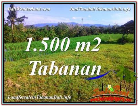 TANAH di TABANAN BALI DIJUAL 1,500 m2 View sawah