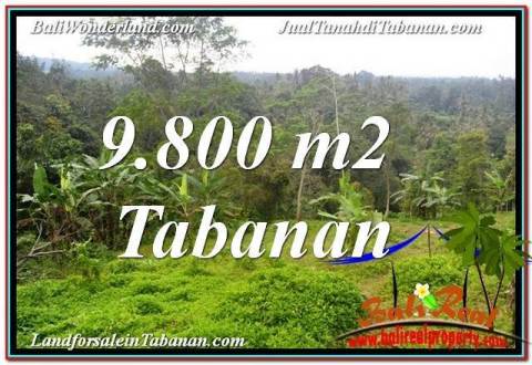 JUAL MURAH TANAH di TABANAN 9,800 m2 di Tabanan Selemadeg