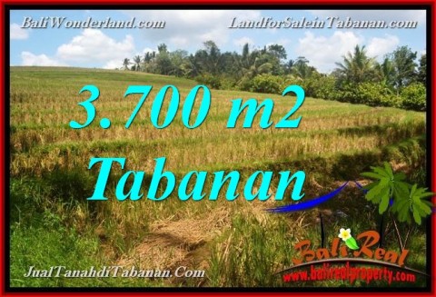 TANAH DIJUAL di TABANAN BALI 3,700 m2 View Sawah dan Sungai