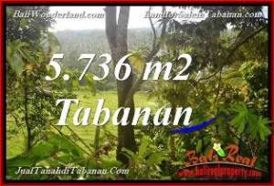 INVESTASI PROPERTY, TANAH MURAH di TABANAN BALI DIJUAL TJTB376