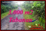 TANAH MURAH di TABANAN BALI DIJUAL Untuk INVESTASI TJTB366