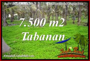 TANAH MURAH di TABANAN BALI 7,500 m2 di TABANAN SELEMADEG